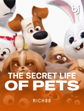 The Secret Life of Pets game cover