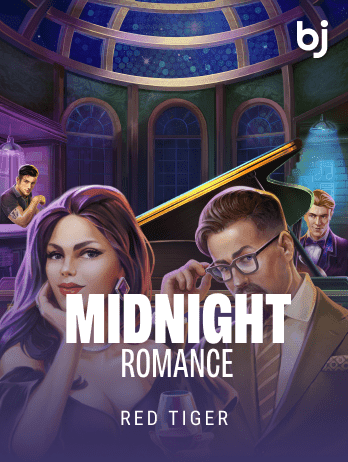 মিডনাইট রোমান্স game cover